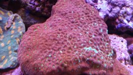 20140923_130837.jpg
