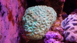 20140923_131216.jpg