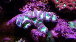 20140923_131249.jpg