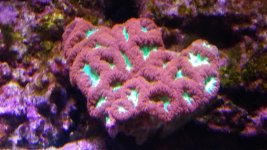 20140923_131301.jpg