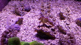 20140923_152918.jpg