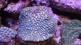 20140923_153342.jpg