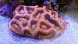 20140923_153634.jpg