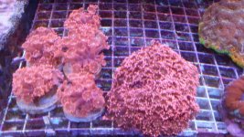 20140923_153734.jpg