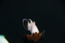 DSC08554.jpg