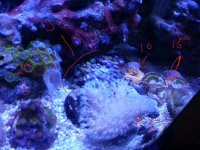 20141030_154837.jpg