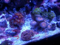 20141030_154844.jpg
