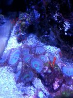 20141030_154854.jpg