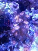 20141030_154915.jpg