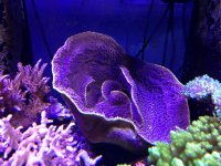 IMG_2015.jpg
