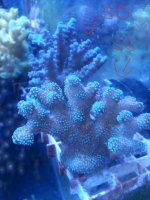 20141030_154944.jpg