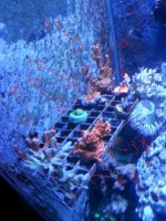 20141030_155054.jpg