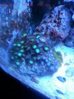 20141030_155139.jpg