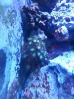 20141030_155142.jpg