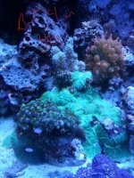 20141030_155149.jpg