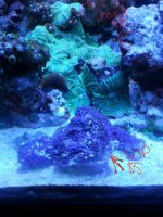 20141030_155154.jpg