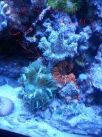 20141030_155208.jpg