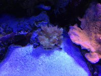 IMG_2026.jpg