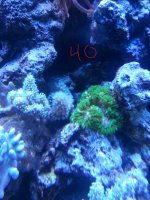 20141030_155211.jpg