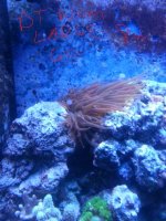 20141030_155215.jpg