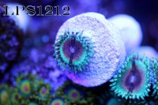 IMG_6602.JPG