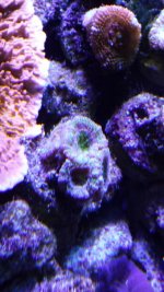 20141031_122856.jpg