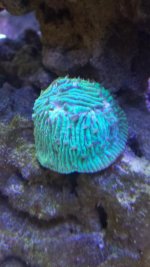 20141030_080907.jpg