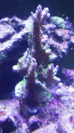 20141030_080930.jpg