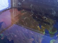 20150131_001258.jpg