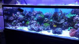 20140801_183601.jpg