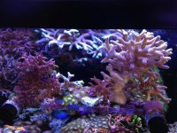 IMG_5011.jpg