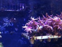 IMG_5014.jpg