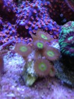 IMG_5007.jpg