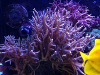 IMG_5004.jpg