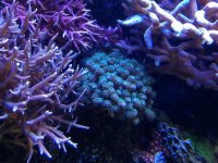 IMG_5012.jpg