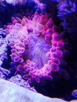 photo 11.jpg