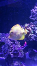 20150318_151137_resized.jpg