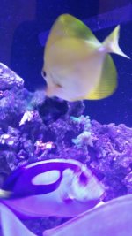 20150318_151140_resized.jpg