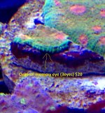 mummy eye.jpg