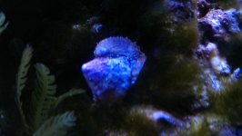 IMAG0960.jpg