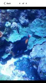 Screenshot_2014-11-01-11-55-02.jpg