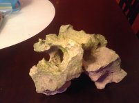 reef rock.jpg