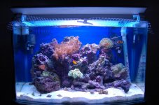 march07 033 (Large).jpg