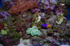 march07 068 (Large).jpg