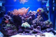 march07 046 (Large).jpg