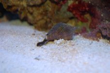 march07 056 (Large).jpg