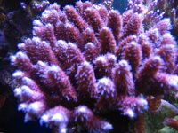 IMG_1641.JPG