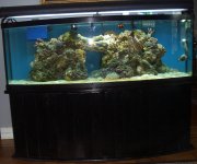 155 all spruced up 11-1-06 001.jpg