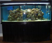 155 all spruced up 11-1-06 002.jpg