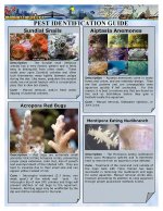 Pest guide page1.1.jpg